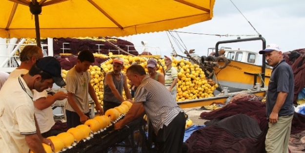 Giresunlu Balıkçılar Sezona Son Hazırlıklarını Yapıyor