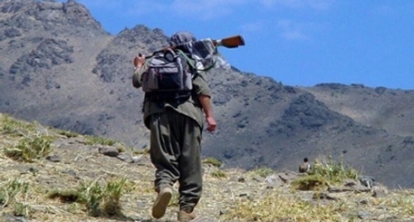 15 PKK'lı teslim oldu