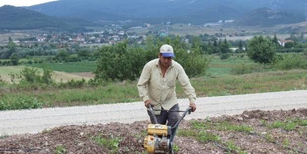 Osmaneli'de Köylülerin Yol Sevinci