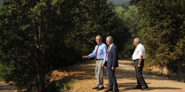 Arazi Yolları Büyükşehir İle Güzelleşiyor