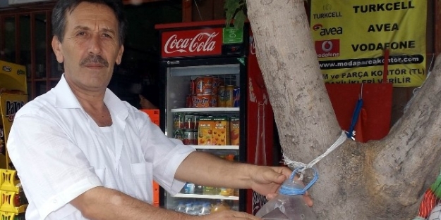 Örnek Muhtar Engelliler İçin Kapak Topluyor