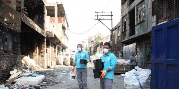 Büyükşehirden Kemirgen Seferberliği