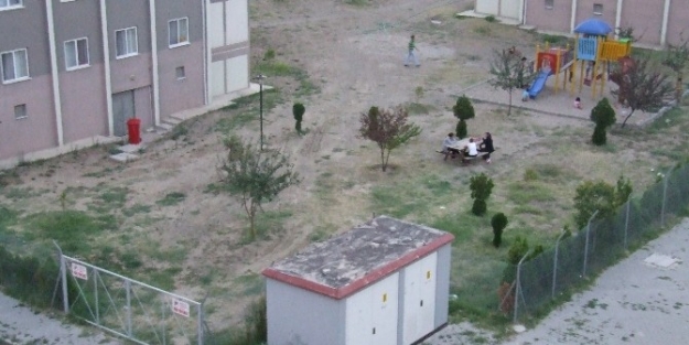 Yaşıtları Oyun Parkında Onlar Çöplükte