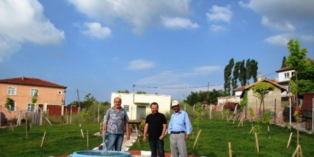 Köye Park