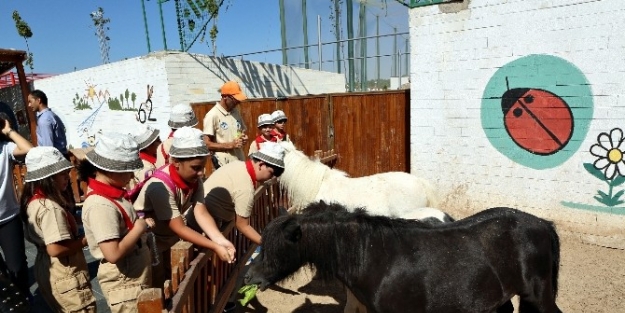 Hayvanat Bahçesi’nin Gönüllüler Ordusu