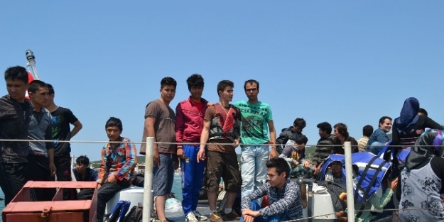 Ayvalık’ta 44 Kaçak Göçmen Yakalandı
