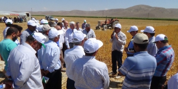 Karaman’da “aspir Tarla Günü “ Düzenlendi