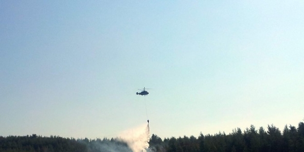 Orhaneli’nde Orman Yangını