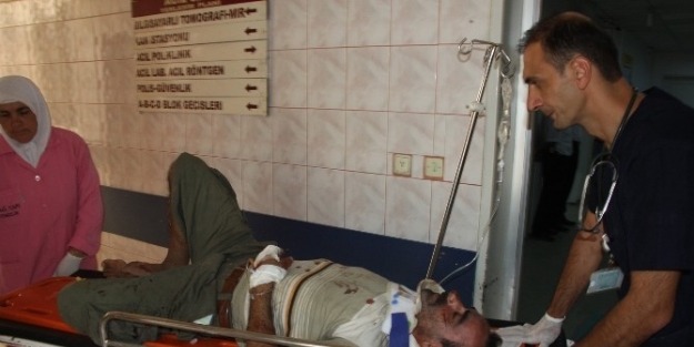 Bu Otomobilden Sağ Çiktilar