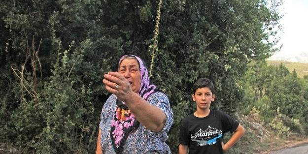 Kemer’de Orman Yangını