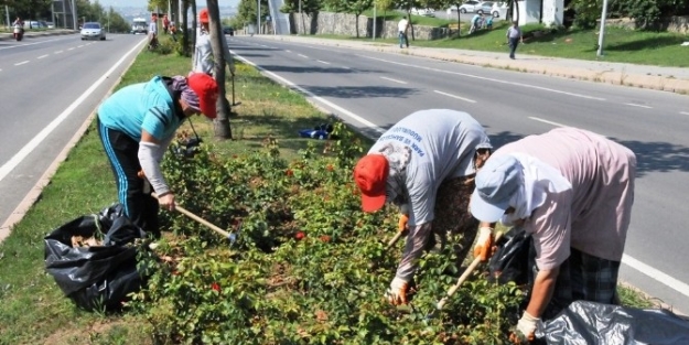 Tekirdağ’da Park Ve Bahçelerde Temizlik Çalişmalari Devam Ediyor