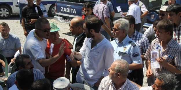 Kurbanlık Hayvan Satış Yerleri İhale Edildi