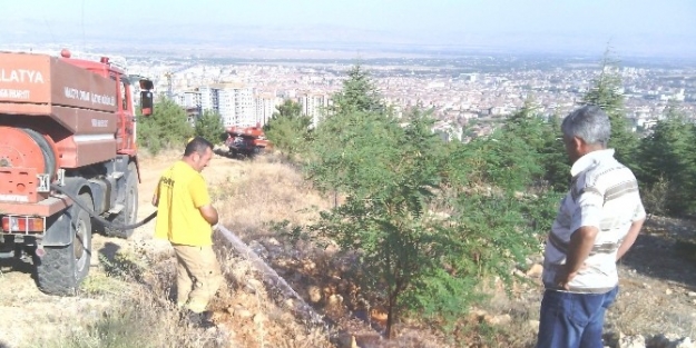 Beydağı Ağaçlandırma Sahasına Ek Sulama