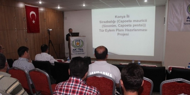 Beyşehir’de Sıraz Balığı Masaya Yatırıldı