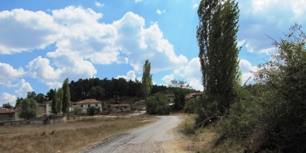 Köy Yolu Köstebek Yuvasına Döndü