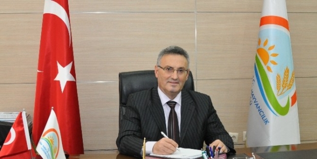 Birinci Dönem Besilik Erkek Sığır Desteklemeleri Üreticilerin Hesaplarına Yatıyor