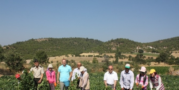 Doğanpınar Göleti Çiftçilerin Yüzünü Güldürüyor
