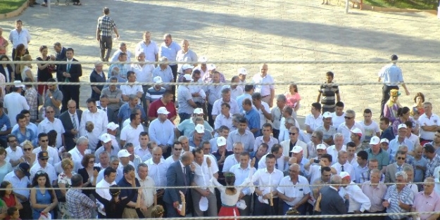 Hayrabolu Ayçiçek Festivali Başladı