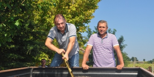 Mevsimin İlk Ayçiçeği Karaağaç Köyü’nden