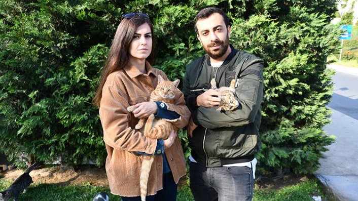 Kedi kavgası karakolda bitti! 200 metreden fazla yaklaşamayacak