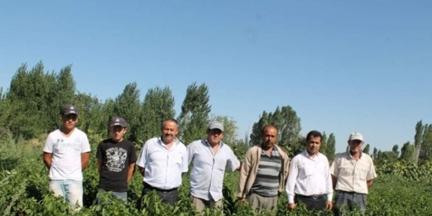 Seydişehir’de Üreticiler Pazar Bulamamaktan Şikayetçi