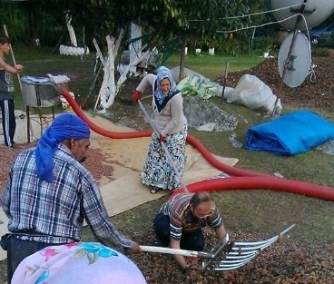 Akçakoca’da Fındıklar Harmana İniyor