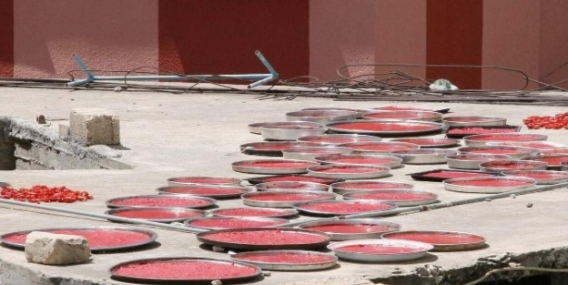 Kilis’te Domates Salçası Telaşı Başladı