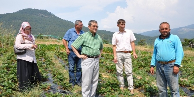 Kırsaldaki Kadın Çiftçiler Eğitimle Daha Da Güçlendirilecek
