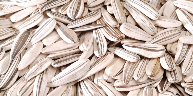 En güçlü rakibimiz Ruslar!