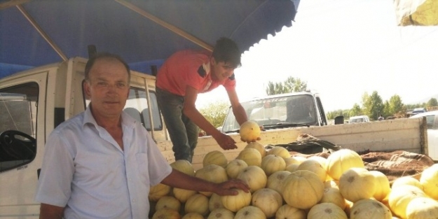 Yerli Kavun Çikti, Fiyatlar Yarı Yarıya Düştü