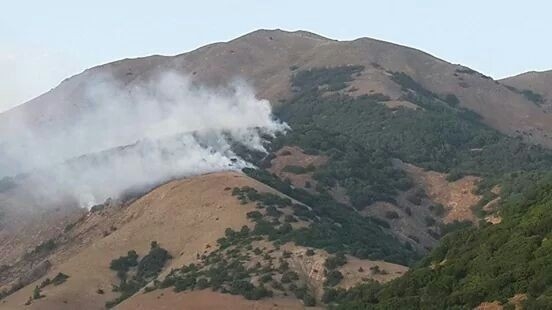 Tunceli’de Orman Yangını