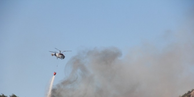 (özel Haber) Ramazan Ve Yağmurlar Ormanları Korudu