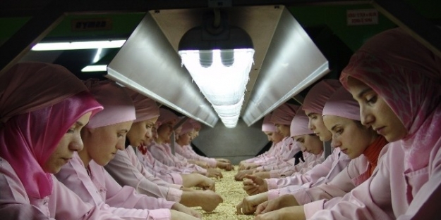 Düzce’de Temmuz Ayında 2 Bin 189 Ton İç Fındık İhracati Gerçekleşti
