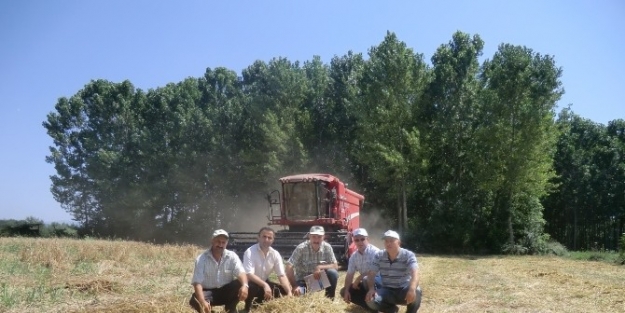Tarımda 2014 Yılı Temmuz Ayı Faaliyetleri Açıklandı