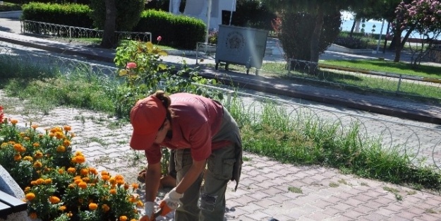 Tekirdağ Sahiline Kadın Eli Değdi