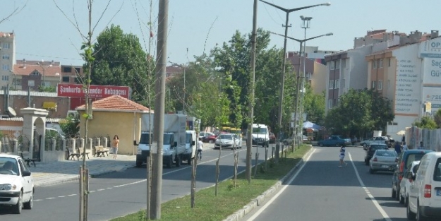 Kapaklı’da Peyzaj Çalişmalari Sürüyor