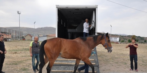 Sivas’ın Atlı Polis Birliği Kapatılıyor