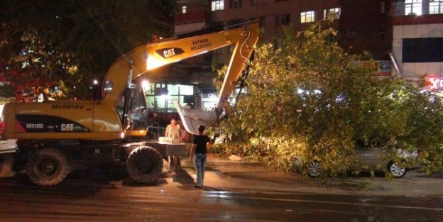 Şiddetli RüzgÂr Nedeniyle Yerinden Sökülen Ağaç Bir Aracın Üstüne Düştü