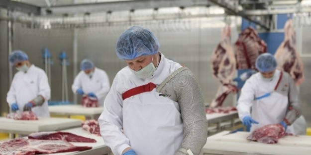 (özel Haber) Bir Tıkla Taze Et Kapınızda