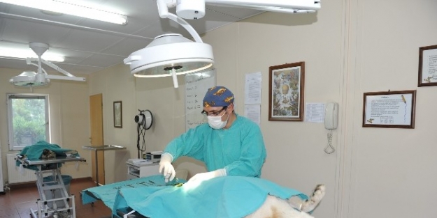 Tam Teşekküllü Hastane Gibi Barınak