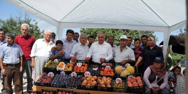 Erdemli’de Yayla Köyleri Yaş Sebze Ve Meyve Festivali Coşkusu