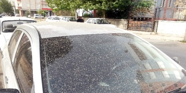 Adıyaman’da Toz Bulutu Ve Çamur Yağışı