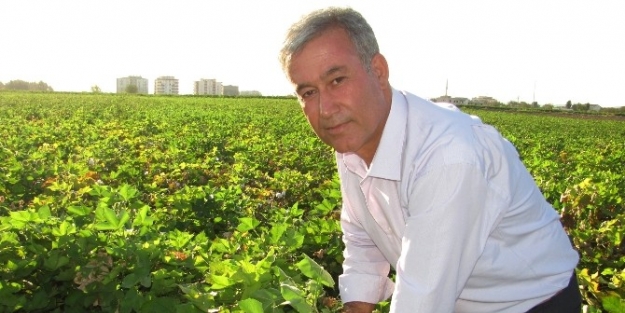 Altun Araban Çukobirlik Başkanı Seçildi