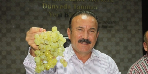 İzmit Üzüm Festivali Başlıyor
