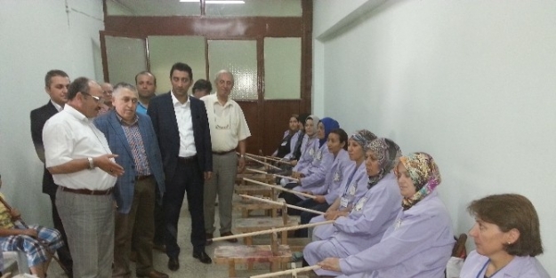 Devrek’te Bahçeden Bastona Kızılcık Projesi