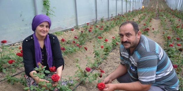 Fındığı Söküp Kesme Çiçekçiliğe Başladı