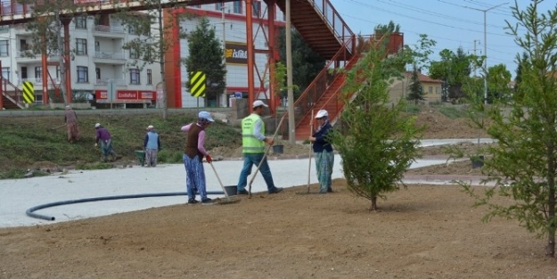 Daha Yeşil Bir Tavşanlı İçin Çaliyorlar