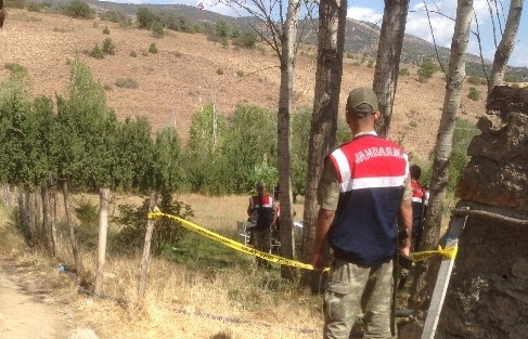 Bahçede Meyve Toplayan Ağabeyini Ayı Zannederek Öldürdü