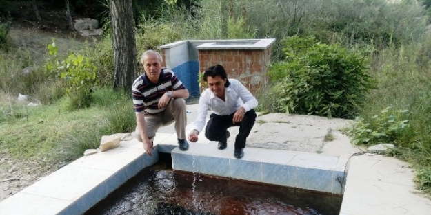 Şifali Sular Tam 44 Yıldır Değerlendirilemiyor