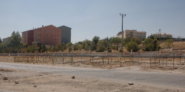 Karaman’da Kurban Satış Yerlerinin Hazırlıkları Başladı